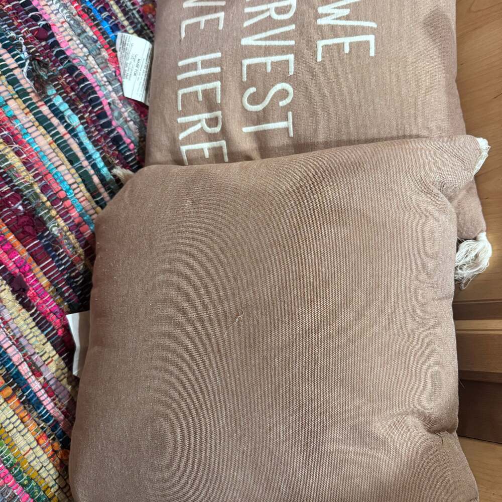 Blessed Quote Tan Decorative Accent Pillow